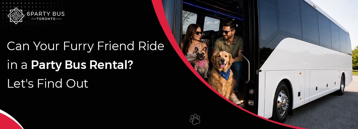 Can Your Furry Friend Ride In A Party Bus Rental? Let's Find Out