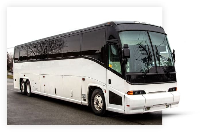 Toronto Party Bus